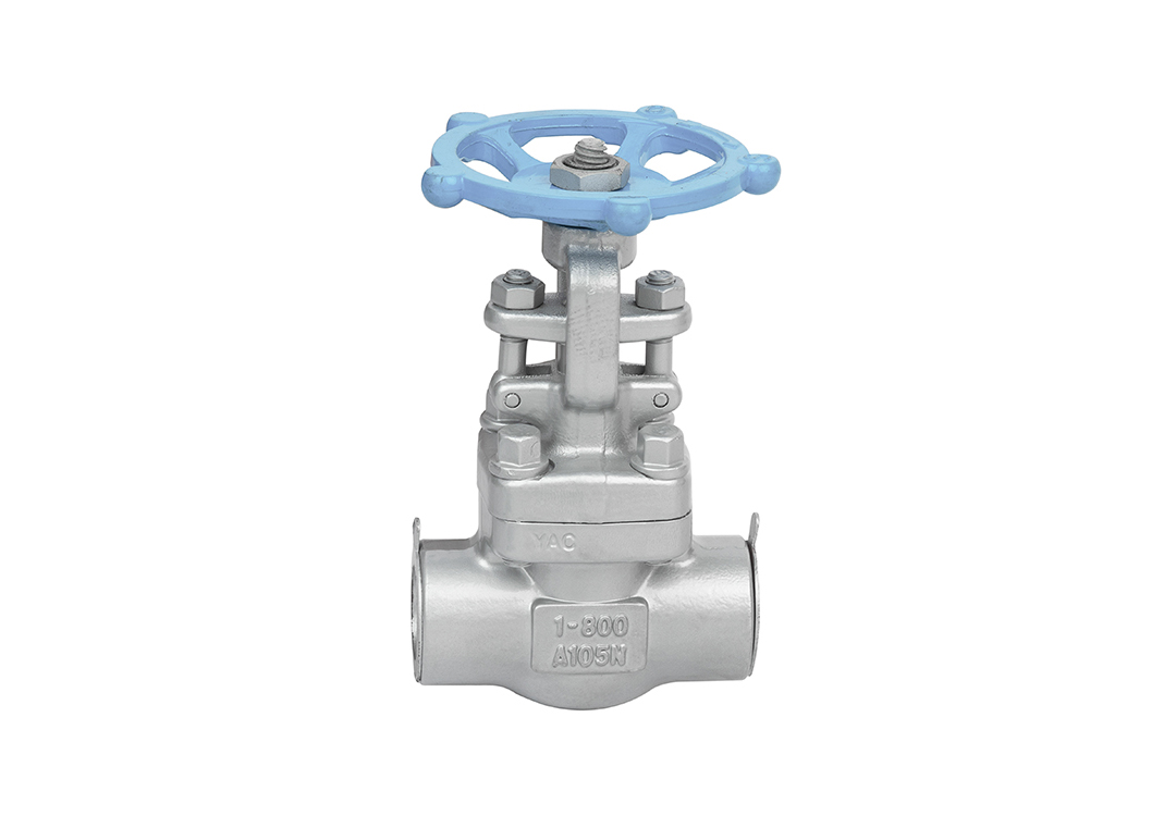 Socket Weld Connection Gate Valve