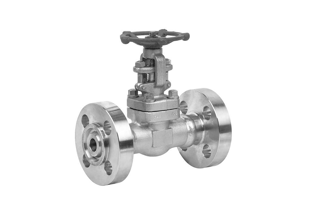 Welded Flanged Gate Valve