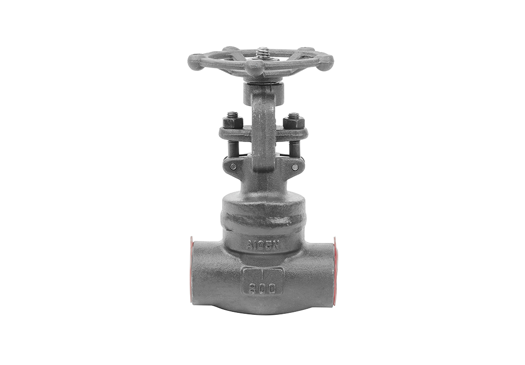 Bonnet Welded Gate Valve