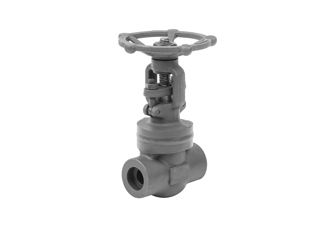 Bonnet Welded High-Pressure Socket Weld Gate Valve