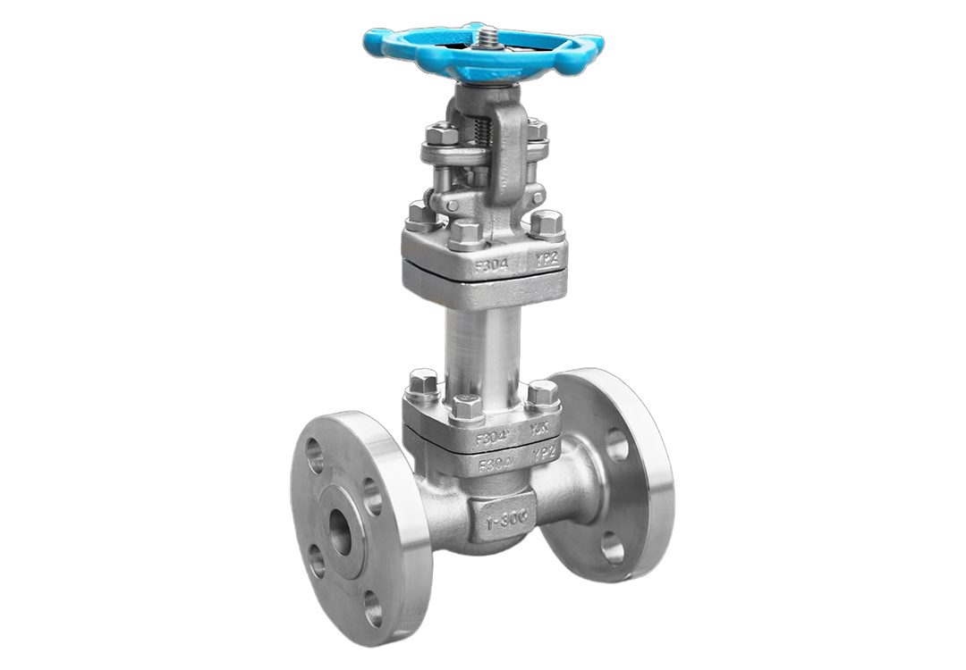 Stainless Steel Flanged Cryogenic Gate Valve