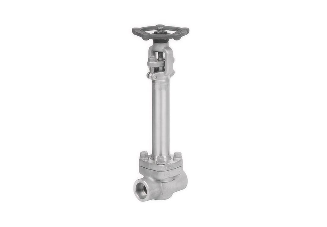 Stainless Steel Cryogenic Globe Valve