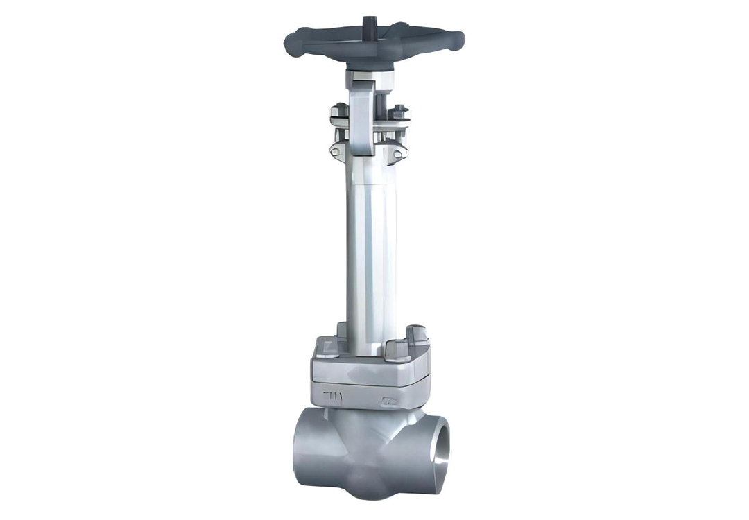 Stainless Steel -196°C Cryogenic Globe Valve