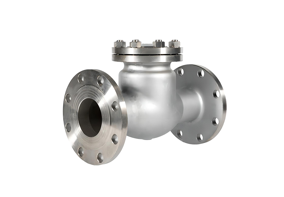 Flanged Stainless Steel Swing Check Valve