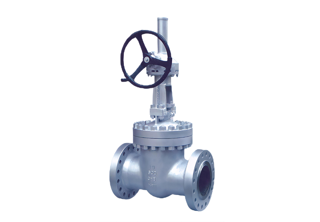 Stainless Steel High-Pressure Flanged Gate Valve